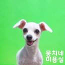 뭉치네 미용실 이미지