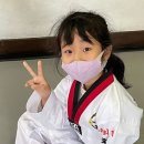 청도 경희대 태권도장 이미지