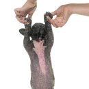 24시이스턴동물의료센터 이미지