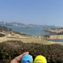 (주)경도 | &lt;라운딩후기!!&gt; 세이지우드 여수 경도CC~☆