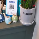 다전객양꼬치 이미지