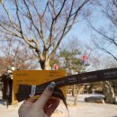 호돌이 게임장 | [용인] 누구나 한 번쯤은 꼭 가볼 만한 곳 한국민속촌 방문 후기!