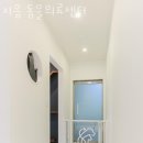 지음동물의료센터 이미지