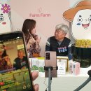 라이브커머스스튜디오