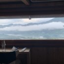 도시고양이생존연구소 이미지