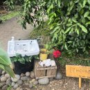 라포르하례 이미지