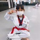 MTA 명품태권도장 이미지