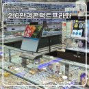 21C안경콘택트프라자 이미지