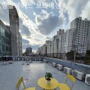 영플레이스