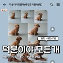 덕분이야모든개 이미지