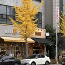 평택시청 | 평택 쌀국수 맛집 미분당 평택시청점 내돈내산 후기