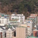 남초탕 Daum카페