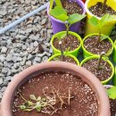 운도농장 이미지