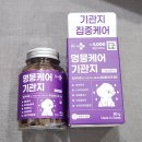 헬로펫 | 강아지기관지영양제 다이소추천템 강아지 켁켁거림 헬로마이펫 멍뭉케어 기관지 후기