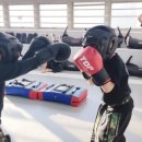키즈mma짐 네이버블로그