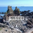 지나는길에 네이버블로그