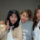 핑클 - 양주시 개나리9길 8 | 핑클