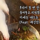둥지마트 네이버블로그