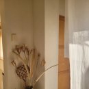 머물수록민박 | 서귀포스테이 느린가에서 만난 조용한 휴식의 시간