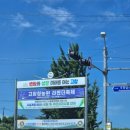 청농원 | 고창 라벤더 축제 청농원 다녀온 후기!