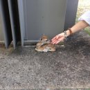 참숯고깃골 이미지