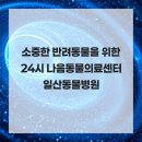 사과나무 동물병원 | 소중한 반려동물을 위한 24시 나음동물의료센터 일산동물병원