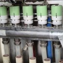 분당-300 이미지