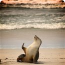 생명의 분출 이미지