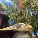 춘천문학공원 내 | 2박 3일 춘천 여행(ﾟωﾟ) - 1일차 춘천 투어 패스 라이트권 코스 추천