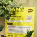 홍대마약족발 이미지