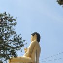 평해사구습지 이미지