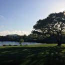 라온 골프 스튜디오 이미지