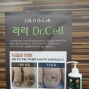 오메디칼의원 네이버블로그