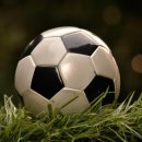 모슬포한의원 | 2024년 전반전 종료.