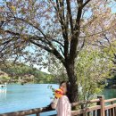 3POP 피시방 제천점 | 4월 당일 제천 여행ㅣ맛있고 예쁜 곳들 가득한 여행지(덩실 분식, 외갓집빨간오뎅, 효강정, 의림지...