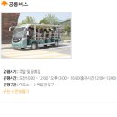 공룡게임랜드 이미지