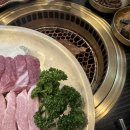 최씨화로 이미지