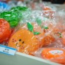 샵제주 - 제주시 애월해안로 867 | 샵제주