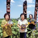 화원마을회관 이미지