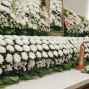 장례식장 - 영등포구 경인로 775 | 장례식장
