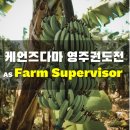동일농장 이미지