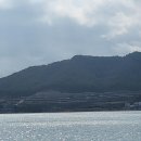 나진스테이 풀빌라 이미지