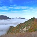 단양 도락산의 운해와 단풍
