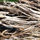 노내골농장 이미지