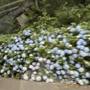 동백맨션 | 거제 감성 숙소 : 독채 &#39;동백맨션&#39; 103호 내돈내산 후기