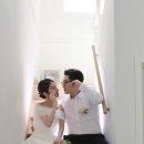 커들스튜디오 이미지