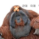 쉼게스트하우스 - 서귀포시 삼달로217번길 18-2 | 쉼게스트하우스