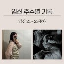 싱그럽 | 임신 주수별 기록 21~23주 차 / 청화병원 정밀초음파 / 22주 배크기 / 국내태교여행 / 리뗀클로르 빕