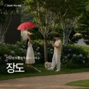 여수 장도 수국 둘레길 코스와 물때 정보 총정리