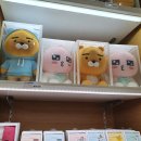 카카오 프렌즈 동대문 이미지